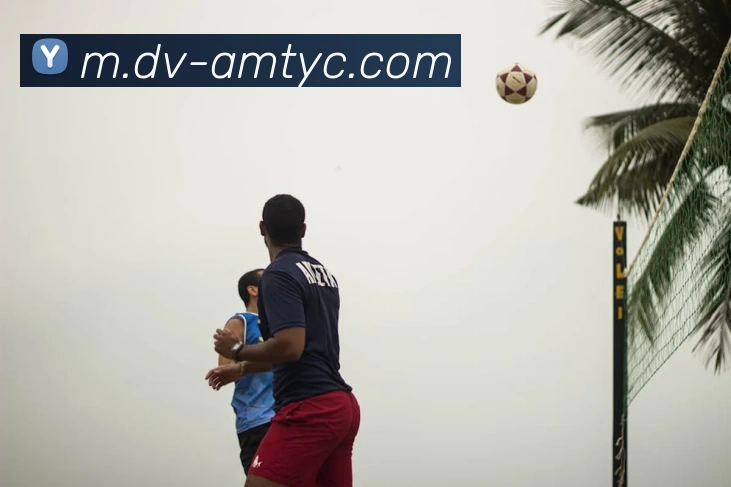 澳门太阳城服务体系